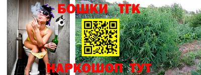 мдпв Заводоуковск