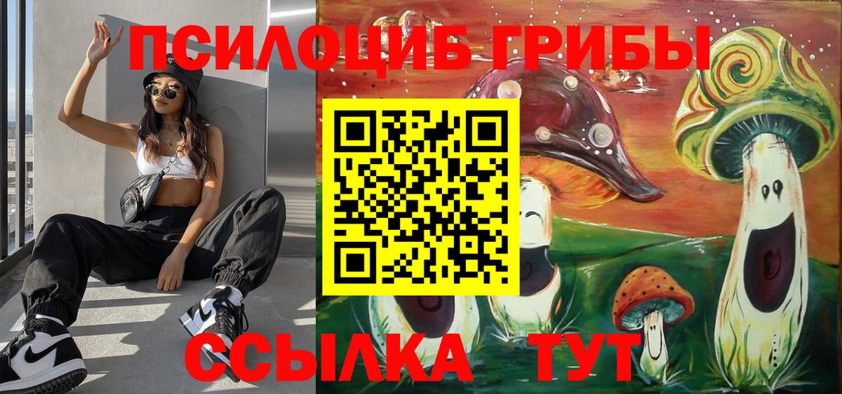 Галлюциногенные грибы мицелий Волжск